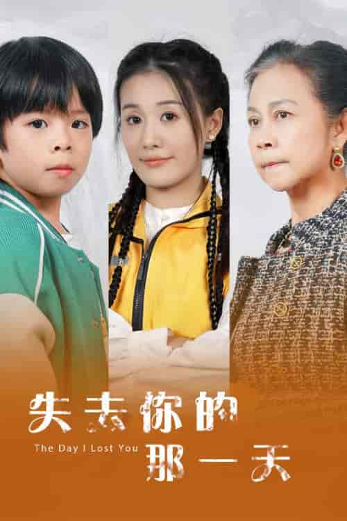 失去你的那一天(30集全)-紫橙资源网
