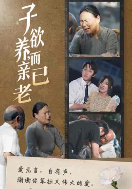 子欲养,而亲已老(58集全)庄天赐&宋暖-紫橙资源网