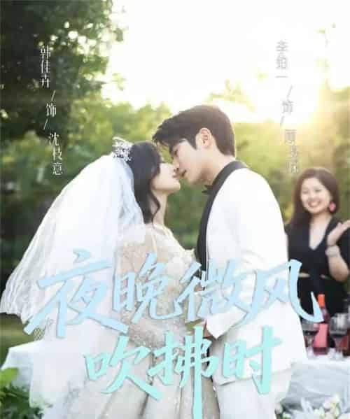 夜晚微风吹拂时(61集全)李铂一&韩佳卉-紫橙资源网
