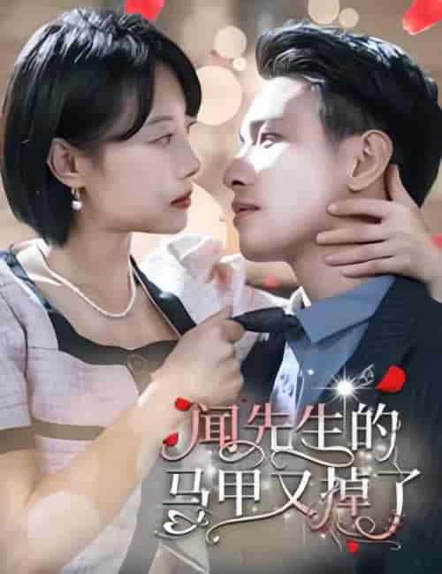 闻先生的马甲又掉了（98集）-紫橙资源网