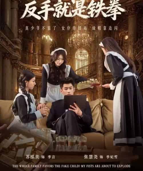 全家逼我当忍者，反手就是铁拳（80集全）苏泓奕＆张慧尧-紫橙资源网