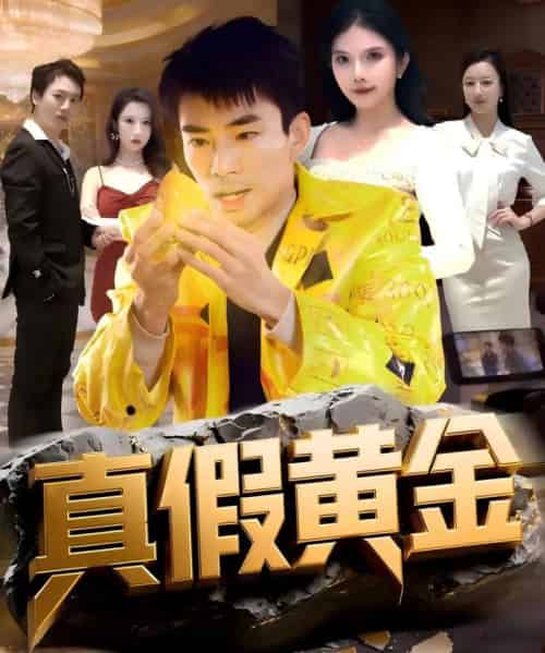 真假黄金(62集全)张瀚文(男)&边心-紫橙资源网
