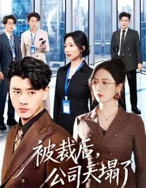 被裁后，公司天塌了（66集全）李进源＆金鑫欣-紫橙资源网