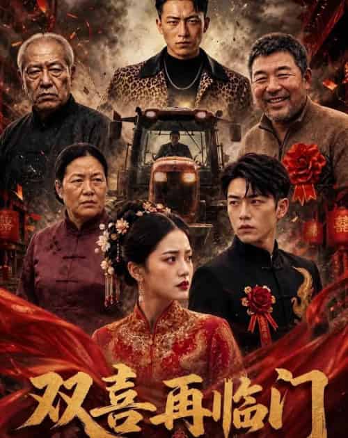 双喜再临门（56集全）AI-紫橙资源网