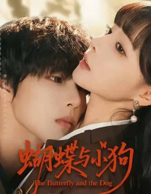 蝴蝶与小狗（70集全）马义炎＆唐七七-紫橙资源网