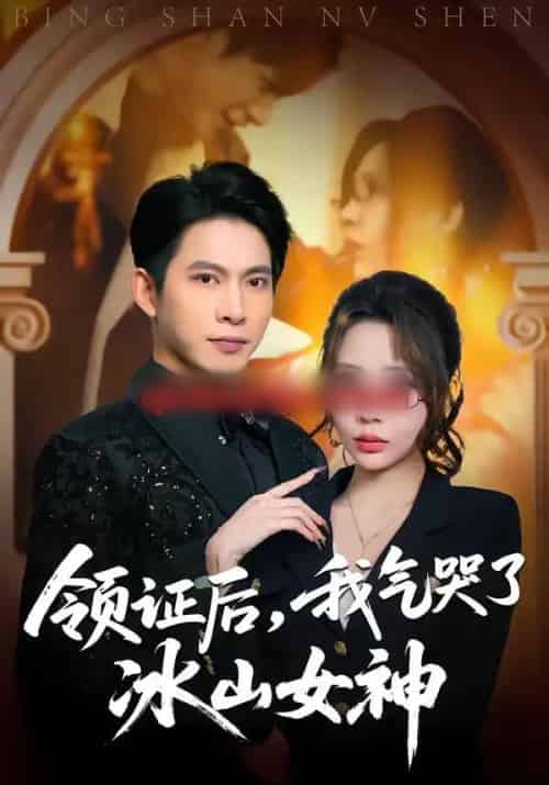 领证后,我气哭了冰山女神(60集全)金威&月野兔-紫橙资源网