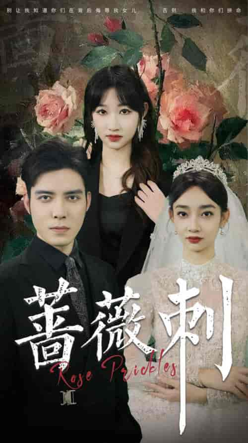 蔷薇刺（20集）-紫橙资源网