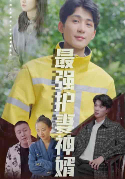 最强护妻神婿（99集全）林萧＆陈依依-紫橙资源网