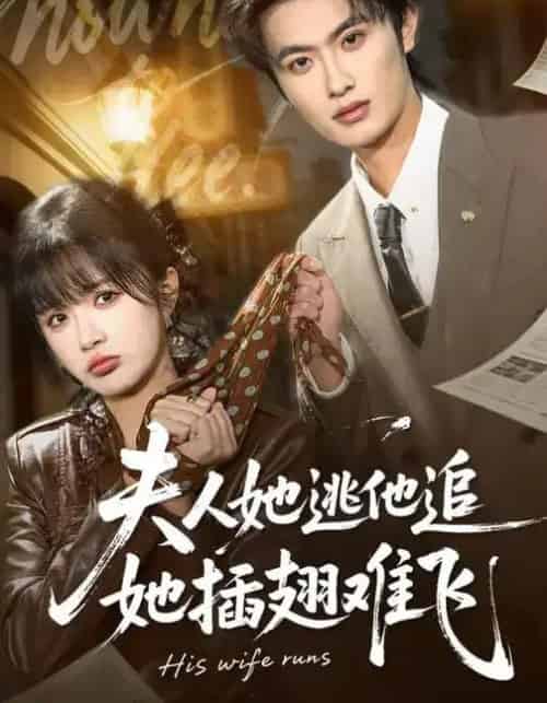 夫人她逃他追，她插翅难飞（101集全）孙嘉俊＆祁乐 - 紫橙短剧