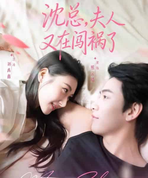 沈总,夫人又在闯祸了(79集全)熊云皓&刘禹鑫-紫橙资源网