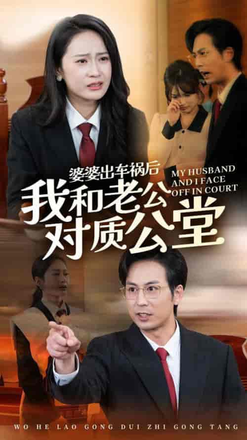 婆婆出车祸后我和老公对质公堂（35集全）王紫轩-紫橙资源网