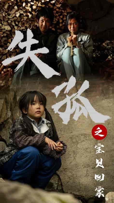 失孤之宝贝回家(71集)-紫橙资源网
