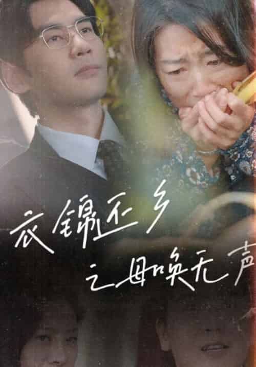 衣锦还乡之母唤无声（60集）-紫橙资源网