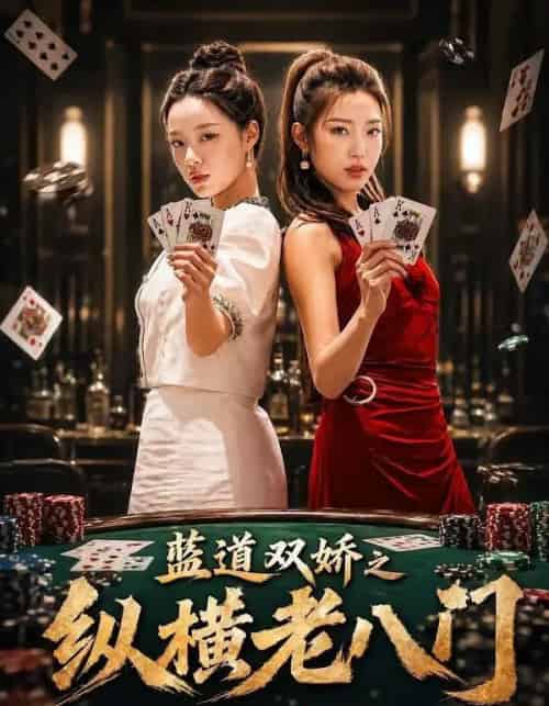 蓝道双娇之纵横老八门（50集全）王天赐＆袁琬容-紫橙资源网