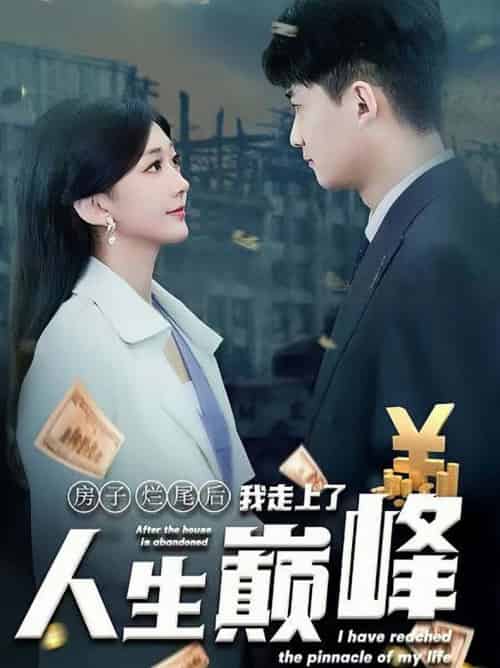 房子烂尾后我走上了人生巅峰（36集全）-紫橙资源网