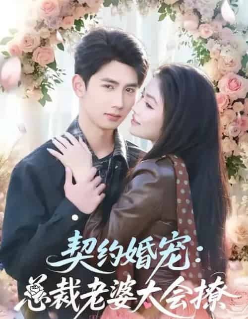 契约婚宠：总裁老婆太会撩（82集全）柳贯一＆骆虹宇-紫橙资源网