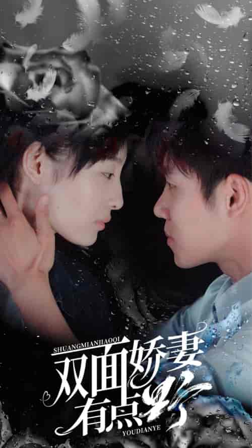 双面娇妻有点野(100集)-紫橙资源网