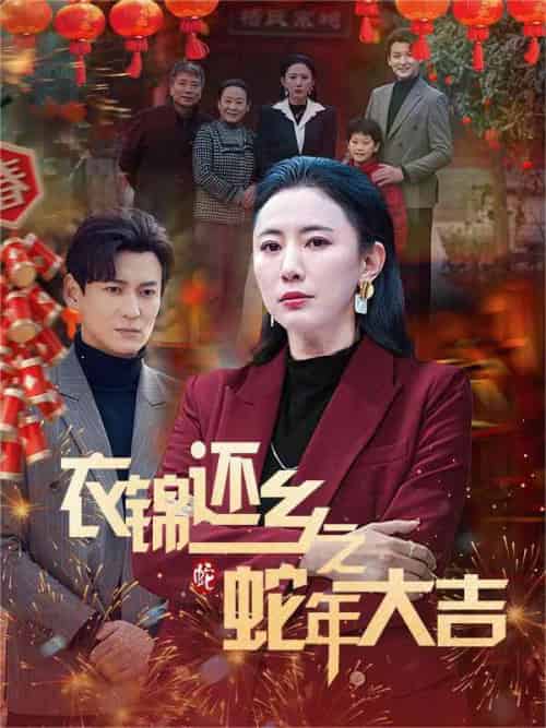 衣锦还乡之蛇年大吉（60集）-紫橙资源网