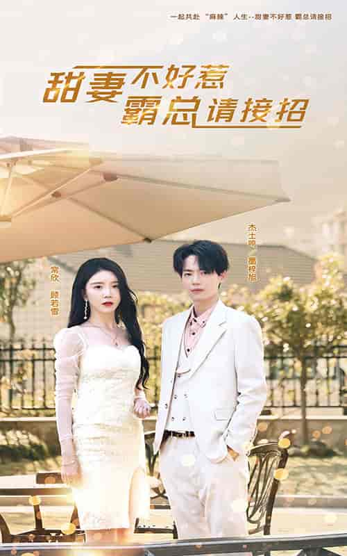 甜妻不好惹,霸总请接招(91集)-紫橙资源网