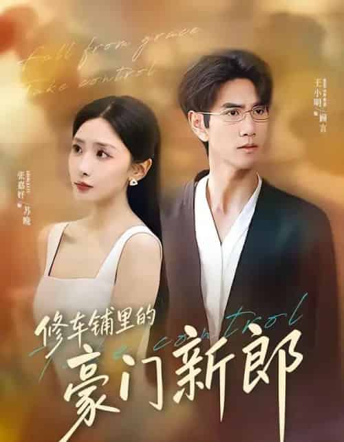 修车铺里的豪门新郎(34集全)张嘉妤&王小明-紫橙资源网