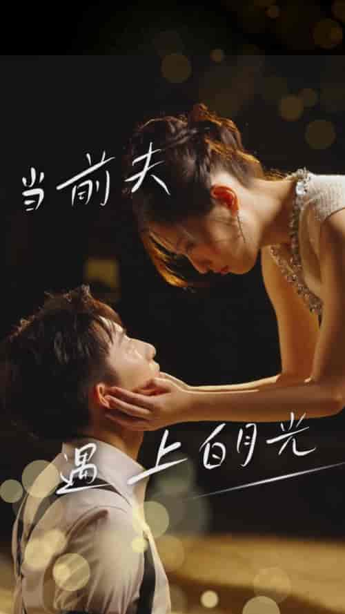 当前夫遇上白月光（28集全）-紫橙资源网