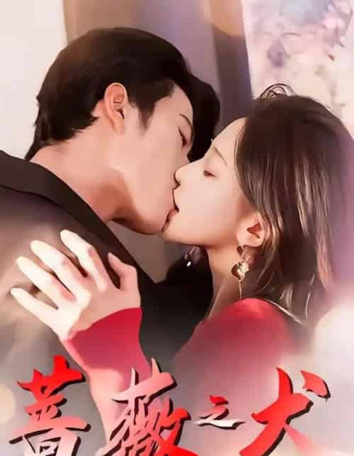 蔷薇之犬(60集全)齐宥澄&韩录锦-紫橙资源网