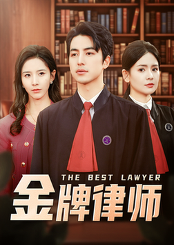 金牌律师(48集全)吴昊&丁晓-紫橙资源网