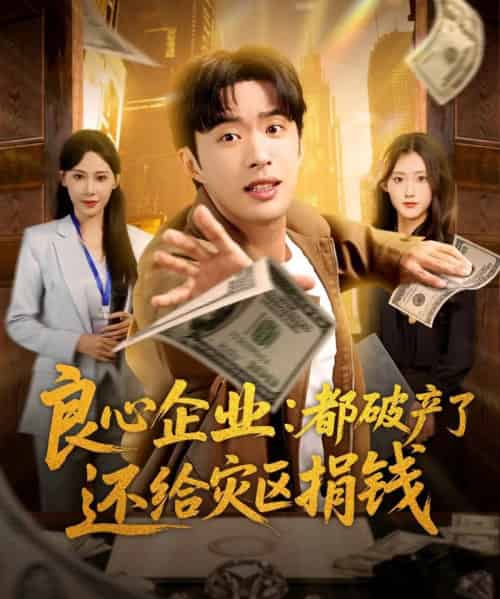 良心企业：都破产了还给灾区捐钱（80集全）姜恺琳＆孔奇力-紫橙资源网