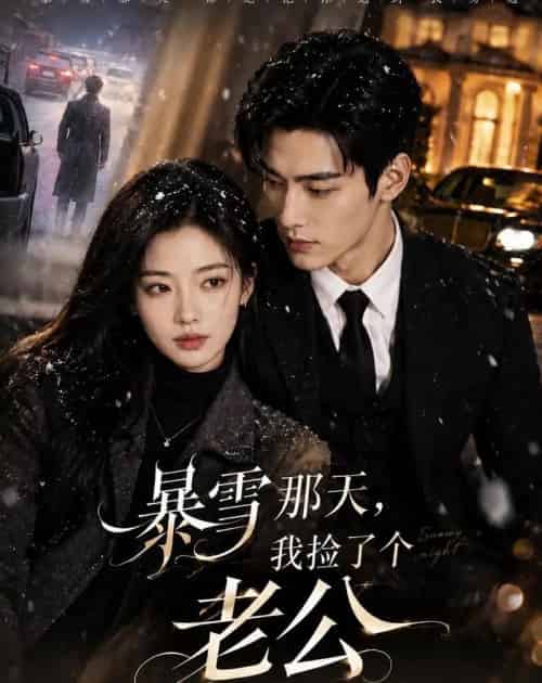暴雪那天,我捡了个老公(58集全)AI-紫橙资源网