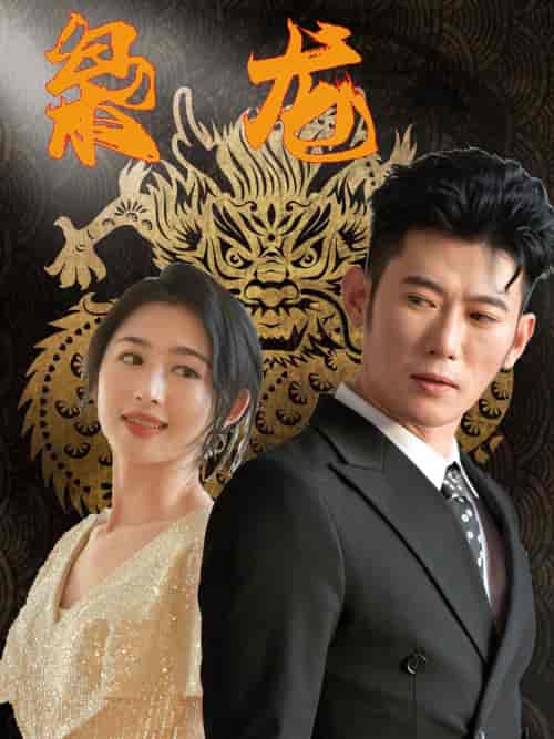 新：枭龙（71集） - 紫橙短剧