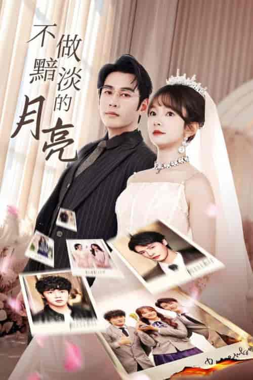 不做黯淡的月亮（33集全） - 紫橙短剧
