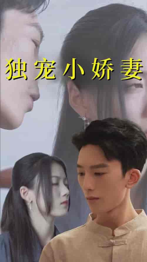 独宠小娇妻（101集全）-紫橙资源网