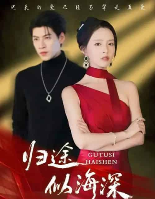 归途似海深（61集全）刘蔓莉＆王为洋-紫橙资源网