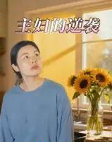 主妇的逆袭（28集全）-紫橙资源网
