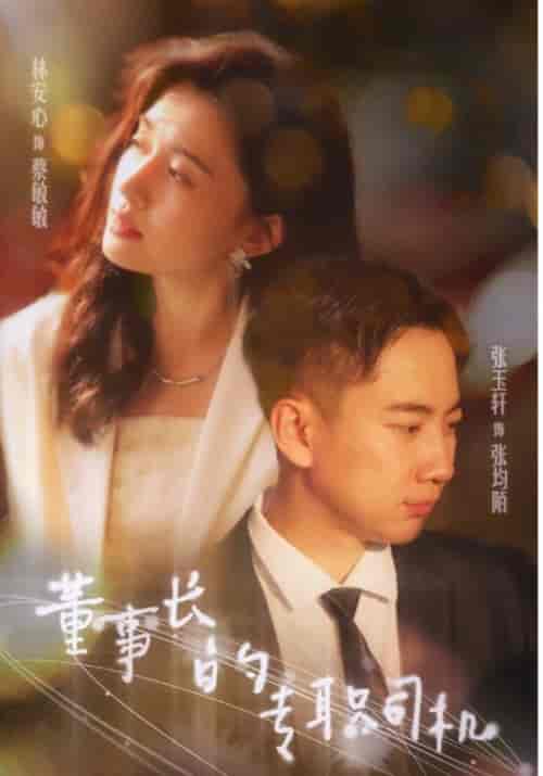 董事长的专职司机(51集)-紫橙资源网