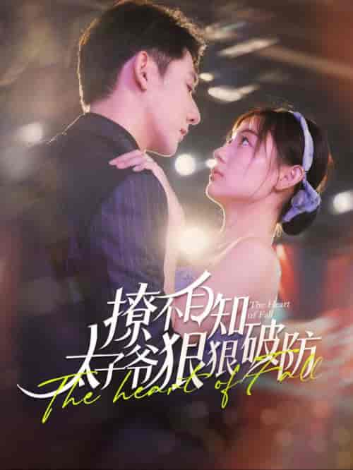 撩不自知太子爷狠狠破防（100集全）于叔＆李田园-紫橙资源网