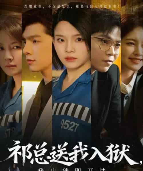 祁总送我入狱，我出狱即开挂（60集全）-紫橙资源网