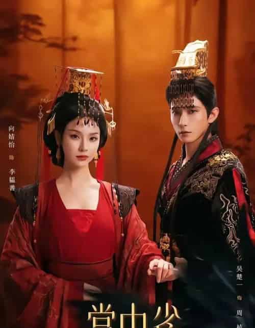 掌中雀（80集全）吴楚一＆向婧怡-紫橙资源网