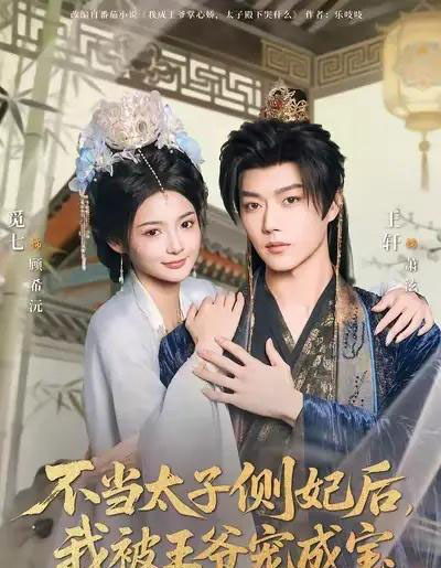 不当太子侧妃后，我被王爷宠成宝（80集全）觅七＆王轩-紫橙资源网
