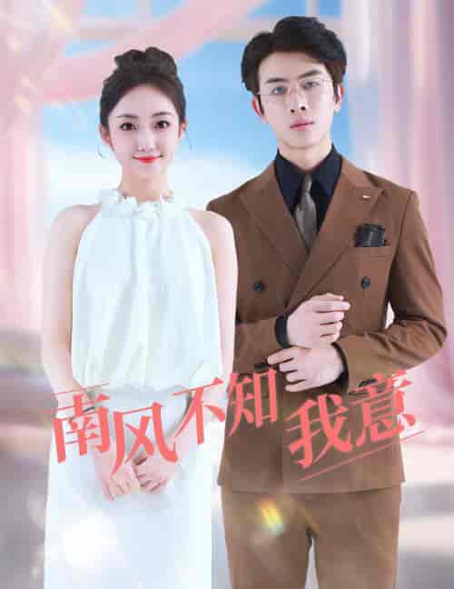 南风不知我意（81集）-紫橙资源网