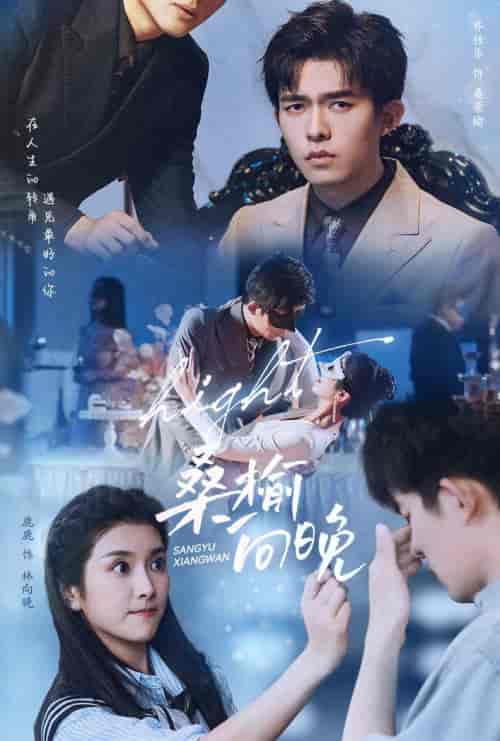 桑榆向晚（65集）卢c鹿鹿-紫橙资源网