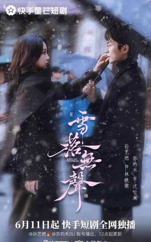 雪落无声(20集全)苏袀禾&孙艺燃-紫橙资源网