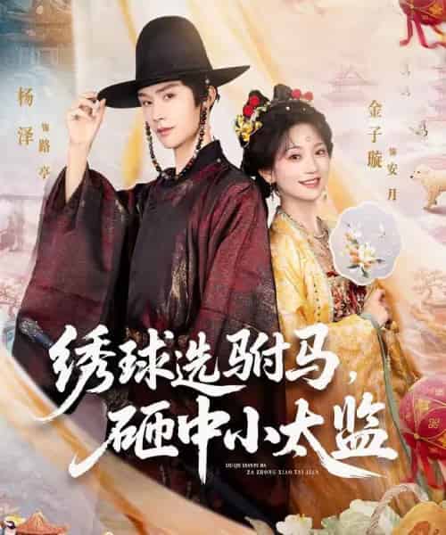 绣球选驸马,砸中小太监(81集全)杨泽&金子璇-紫橙资源网