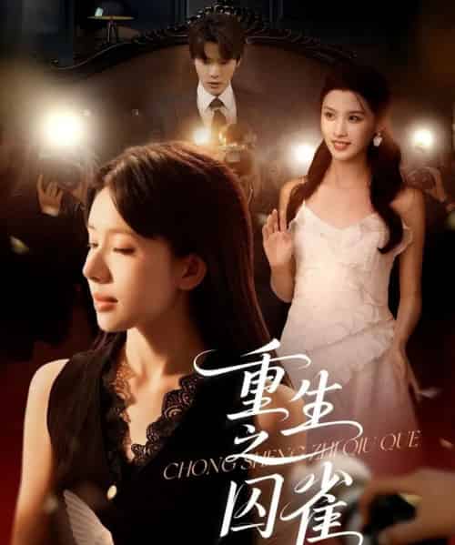 重生之囚雀（75集）张萓紘＆蒋开鑫-紫橙资源网