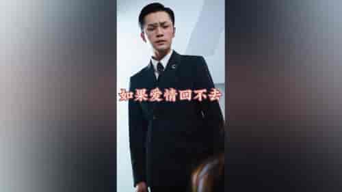 如果爱情回不去（71集） - 紫橙短剧