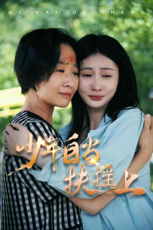 少年自当扶摇上（30集）范佳琪 - 紫橙短剧