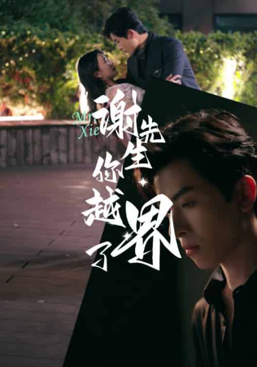 谢先生你越界了(38集全)谢瑾之&叶可妮-紫橙资源网