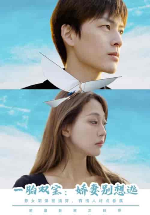 一胎双宝:娇妻别想逃(96集全)顾霆均&慕诗羽-紫橙资源网