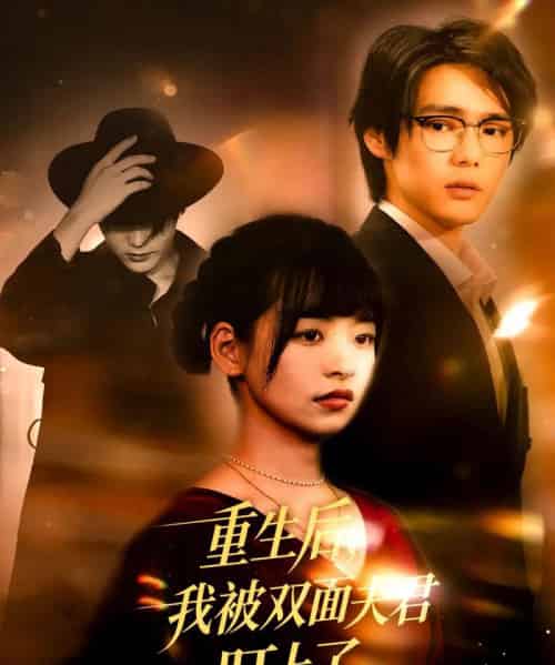 重生后，我被双面夫君盯上了   共60集-紫橙资源网