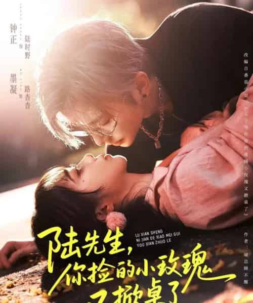 陆先生，你捡的小玫瑰又掀桌了（74集全）钟正＆墨凝-紫橙资源网